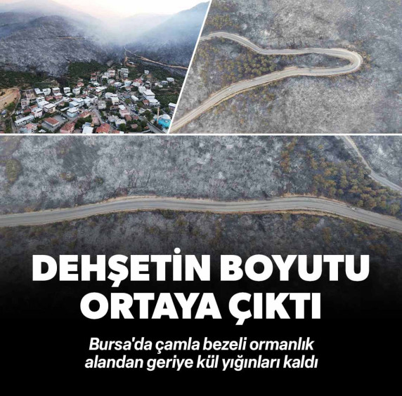 Bursa’daki yangının acı boyutu gün ağarınca ortaya çıktı