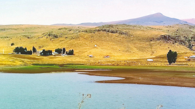 Ekosistemdeki bu dengenin bozulması, hem biyolojik çeşitliliği hem de çevre sağlığını tehdit ediyor.