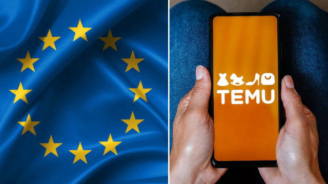 İhlallerin tekrarı durumunda söz konusu dijital platformların AB'deki faaliyetine son verilebiliyor.