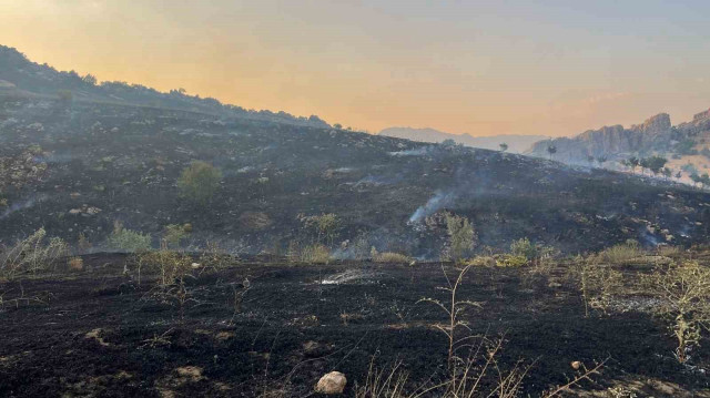 Diyarbakır’da merada başlayan yangın ormanlık alana yayıldı