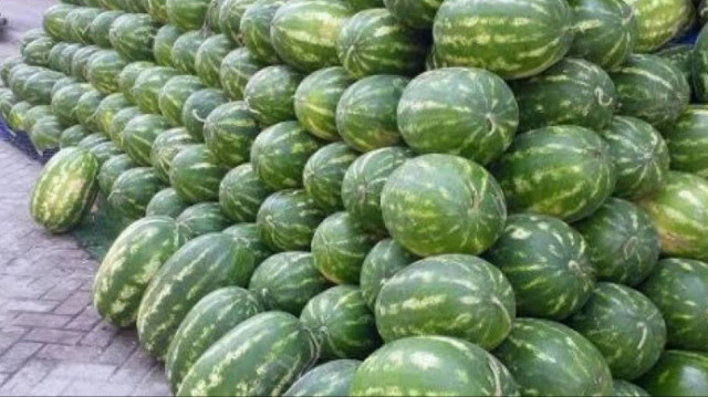 Bir kamyon dolusu 20 ton karpuzu vatandaşlara bedava dağıtarak hem ürünün tarlada kalmasıyla zor günler geçiren esnafa destek oldu hem de depremzede vatandaşlara karpuz ziyafeti yaşattı.