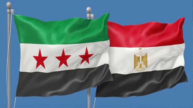 مصر تؤكد دعمها تدشين عملية سياسية شاملة في سوريا تدعم وحدتها