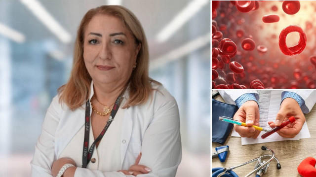  BHT CLINIC İstanbul Tema Hastanesi İç Hastalıkları Uzmanı Dr. Niiar Alioğlu.