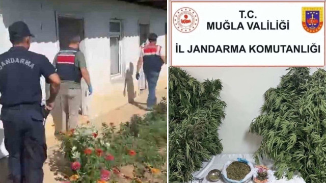 Jandarma ekipleri, "Uyuşturucu veya Uyarıcı Madde İmal ve Ticareti ile Yasa Dışı Ekim" suçlarına yönelik çalışmalarını sürdürüyor