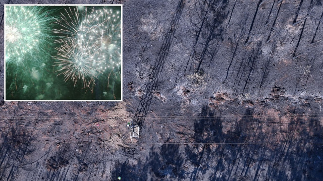 Orman yangınına sebep olan şahıslara ağaç dikme cezası