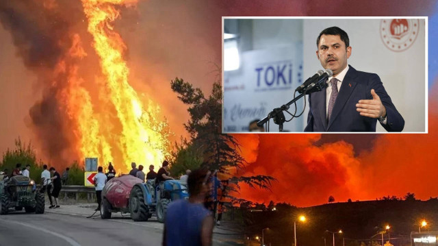 Orman yangınlarında 132 bağımsız birimde ağır hasar tespit edildi