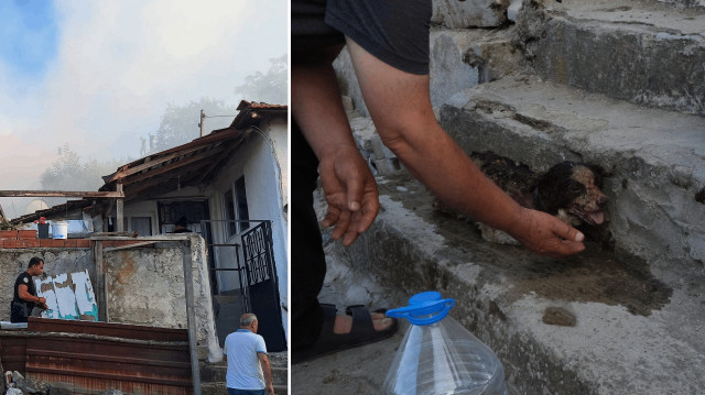Köpek yavrusu, itfaiye ekipleri tarafından yaralı olarak kurtarıldı.