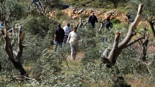 مسؤول فلسطيني: اعتداءات متزامنة نفذها مستوطنون بالضفة في يونيو
