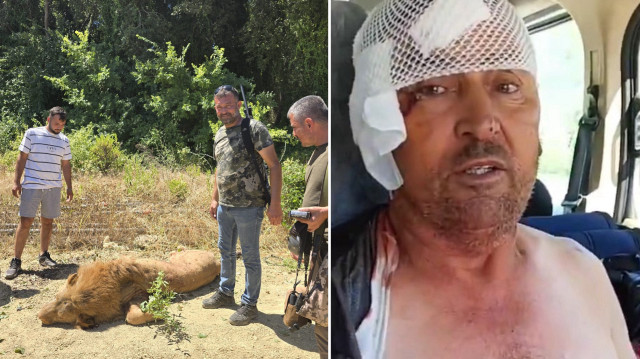Süleyman Kır, tarlada uyurken kendisine saldıran aslan yüzünden ağır yaralandı.