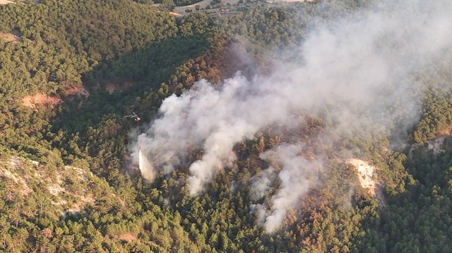 Bolu'daki orman yangınına müdahale sürüyor