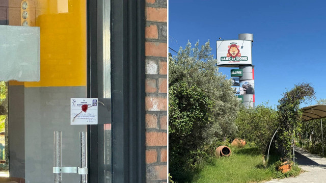 Antalya'nın Manavgat ilçesinde bir kişiyi yaralayan aslanın kaçtığı hayvan parkı zabıta ekiplerince mühürlendi.