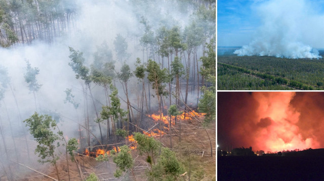 Brandenburg eyaletindeki orman yangını. (Foto: Sosyal Medya)