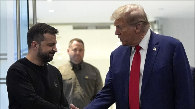 Владимир Зеленский и Дональд Трамп.
