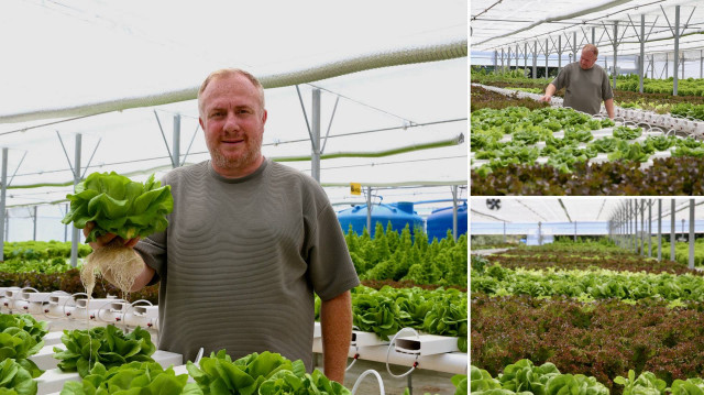  Ömer Çelik, Kocaeli'de topraksız tarım serasında yıl boyunca yeşillik üretimi gerçekleştiriyor.