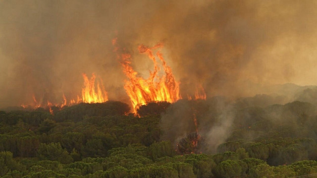 Placé en vigilance rouge, le département de l’Aude lutte contre un incendie hors de contrôle, attisé par des vents violents et des conditions caniculaires.