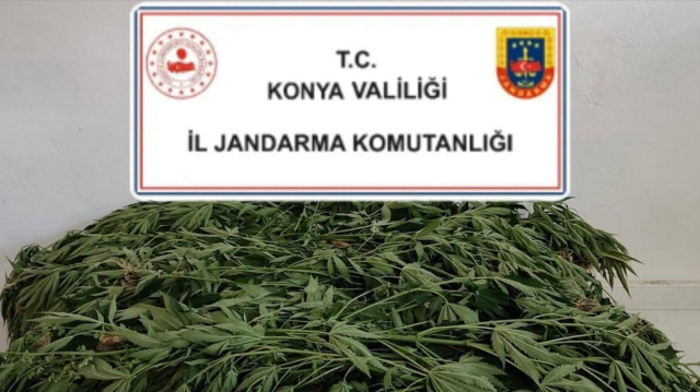 400 bin kök kenevir ve çok sayıda uyuşturucu madde ele geçirildi.