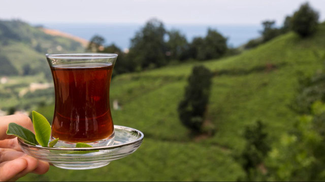 Turkish tea exported to 104 countries in H1, generating $16.9M