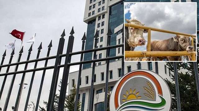 Tarım ve Orman Bakanlığı