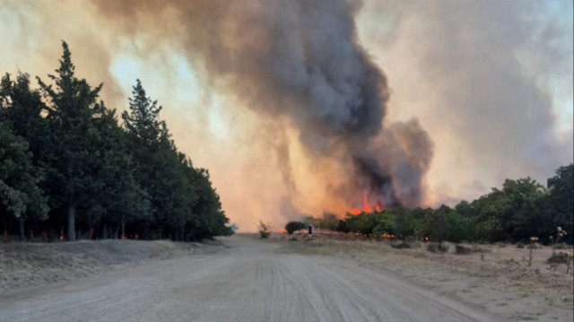 Çevre ilçelerden itfaiye ekipleri de yangını kontrol altına almak için bölgeye geldi.
