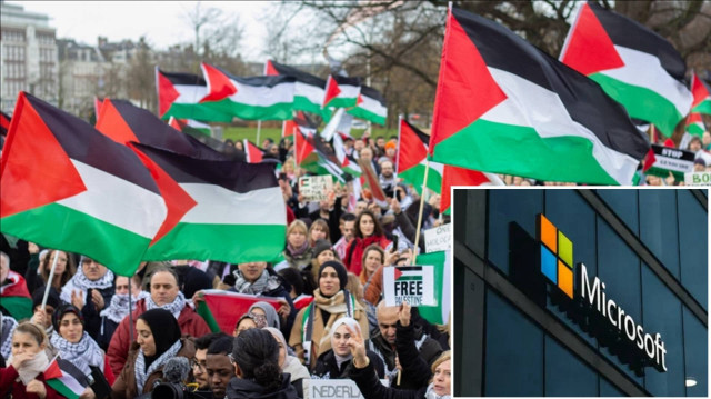Hollanda’da Microsoft protestosu
