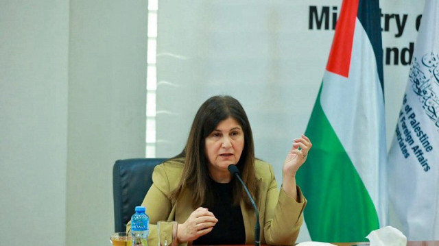 فلسطين: الفيتو الأمريكي يشل مجلس الأمن عن وقف إبادة إسرائيل بغزة