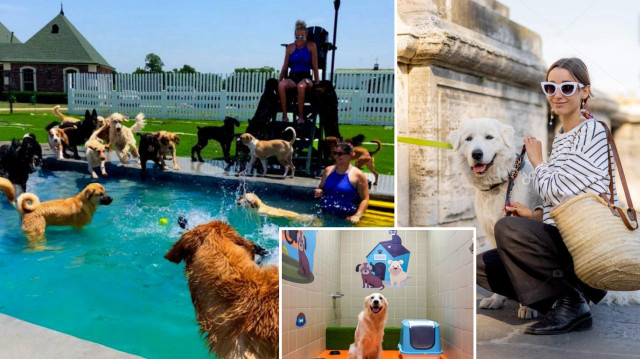 İngiltere merkezli Financial Times gazetesinden çarpıcı analiz: ‘Çocuk sahibi olmayanlar ilgilerini ve bütçelerini köpeklere yönlendiriyor’