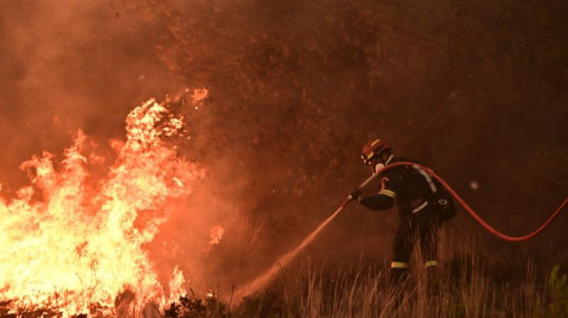 Yetkililer, yanan araçların çoğunun kullanım ömrünü tamamlayan ve açık artırmada satılamayacak durumda olan araçlardan oluştuğunu bildirdi.