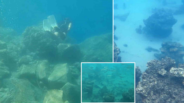 Dünyanın en büyük sodalı gölünde inci kefallerinin sualtı şöleni