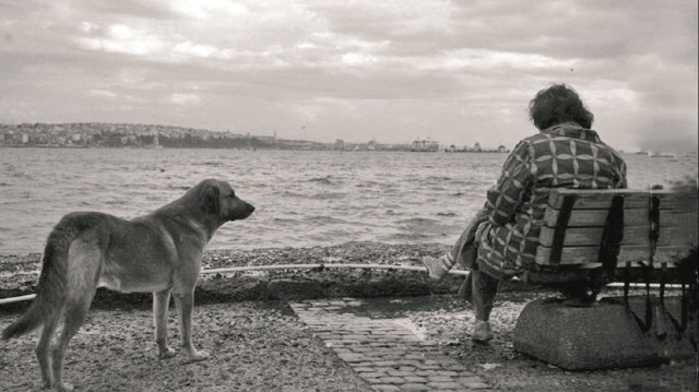 Fotoğraf: Arşiv