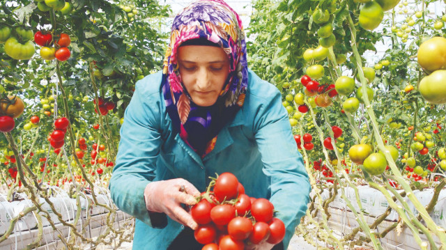 Fotoğraf: Arşiv