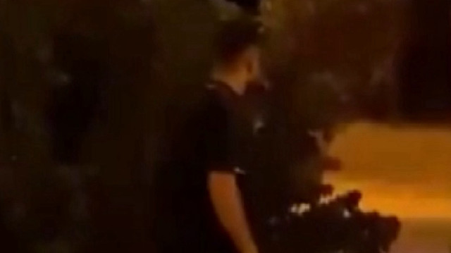 Üniversite yerleşkesine giren domuzları havlayarak kovaladı