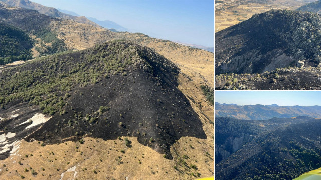 Yangında, yaklaşık 150 hektar otluk ve bozuk orman alanının zarar gördüğü öğrenildi.