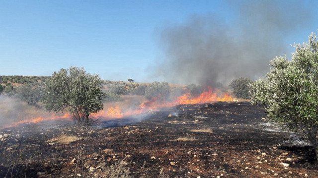 عشرات المستوطنين يحرقون غرفا زراعية في قرية المغير وسط الضفة