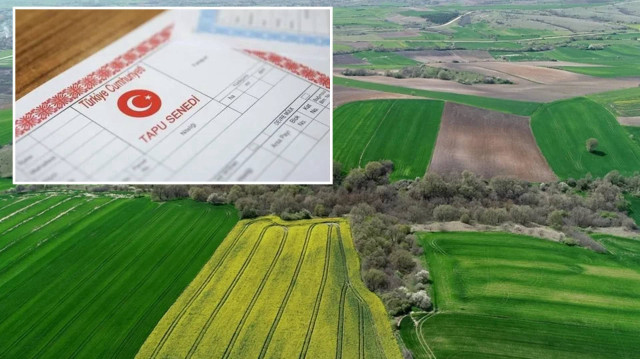 1 Eylül 2025’ten itibaren yürürlüğe girecek yeni uygulamayla, iki yıl boyunca ekilmeyen tarım arazileri devlet aracılığıyla üçüncü kişilere kiraya verilebilecek.