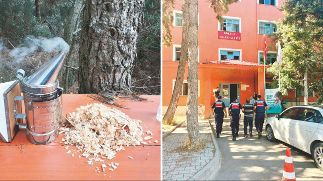 Arıcı R.D.’nin (54) arılarını sakinleştirmek için yaktığı tütsüden sıçrayan kıvılcımların kuru otları tutuşturması sonucu yangın çıktığı tespit edildi. 