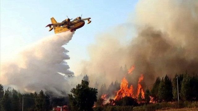 Un feu s’est déclaré dans la province de Taounate alors que les températures dépassent les 46 °C.