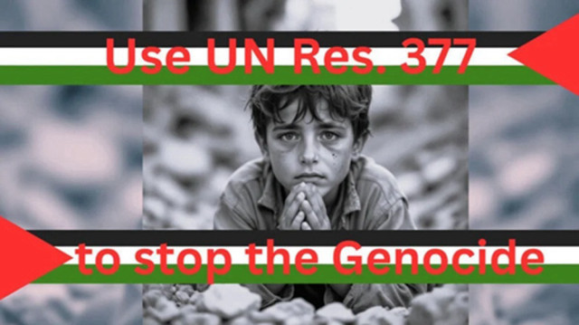 Une pétition pour l'application de la résolution 377 de l'ONU et ainsi contourner le veto israélien a été diffusée en ligne.