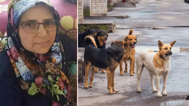 Sokak köpeklerinden kaçmak isteyen kadına araba çarptı: Düğüne giderken hayatını kaybetti