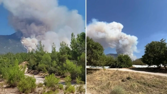 İhbar üzerine bölgeye 3 uçak, 11 helikopter, 50 arazöz, 8 ilk müdahale aracı, 2 iş makinesi ve 307 personel sevk edildi.