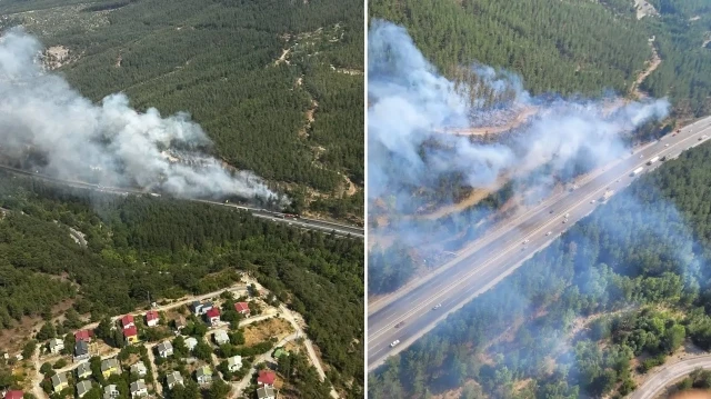 Adana Pozantı'da yangın