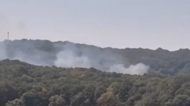 Sarıyer'de ormanda yangını