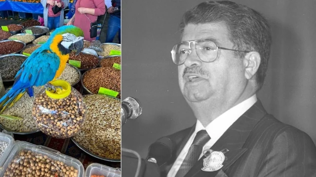 Turgut Özal'ın papağanı "Cabbar"