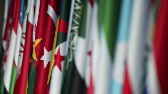 Drapeaux des pays participant à la 51e réunion du Conseil des ministres des Affaires étrangères de l’Organisation de la coopération islamique (OCI) à Istanbul, en Türkiye, le 22 juin 2025.