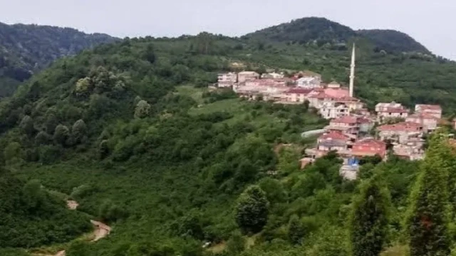 Alaplı'da 5 köyde seçim heyecanı yaşanacak