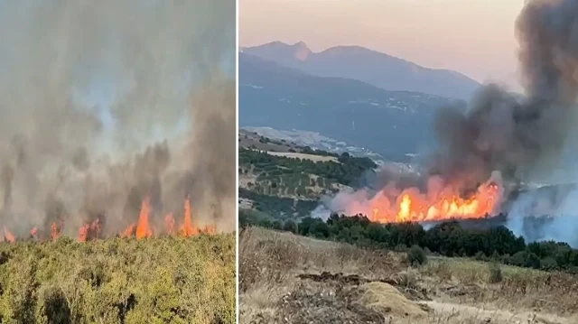 Susurluk'taki orman yangını 12 saat sonra kontrol altına alındı