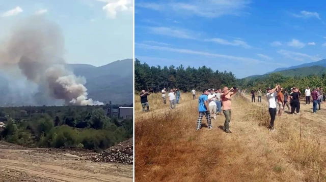 Ormanlık alanda yangın: Çok sayıda ekip sevk edildi