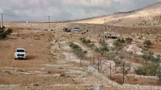 الضفة.. مستوطنون يعتدون على فلسطيني ويسرقون 300 رأس غنم برام الله