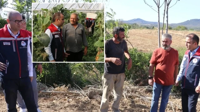 Edirne’de sera yatırımlarıyla tarımsal üretim kapasitesi artırılıyor
