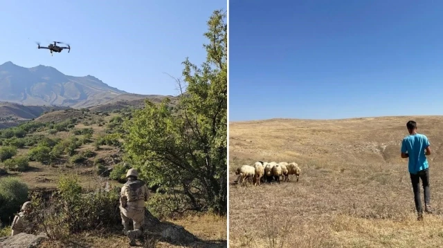 26 koyun, kayboldukları yerden yaklaşık 5 kilometre uzaklıkta bulundu.