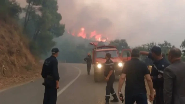 Depuis le 24 août 2025, un immense feu non circonscrit ravage la forêt de Chréa dans la région de Blida, en Algérie.
